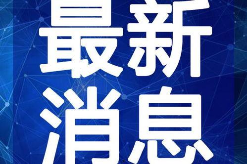云南缅甸最新爆料视频,神秘视频揭示惊人真相