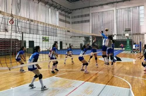 郑州九中最新爆料,揭秘校园风云背后的真相